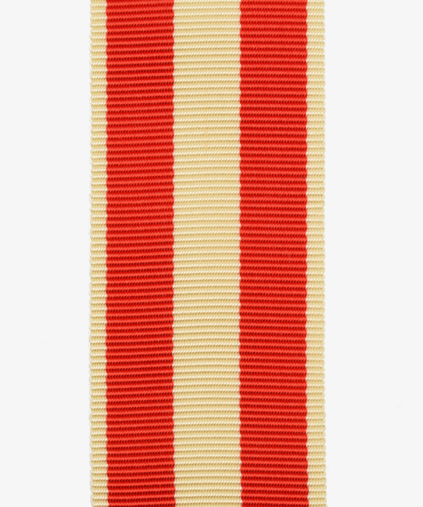Hesse-Kassel, 1814/1815 war medal for non-combatants (54)